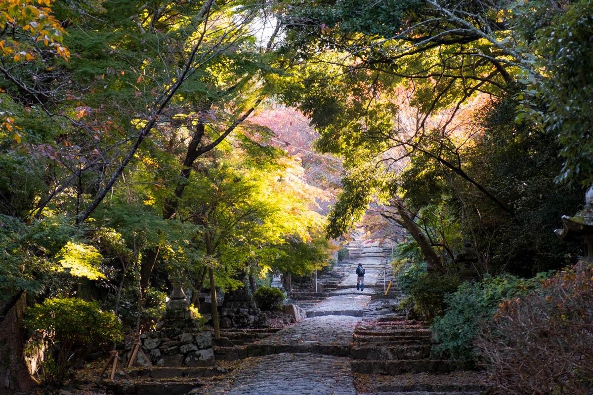 ⛩️ 히키노 신사(히키노진자) 이미지 7